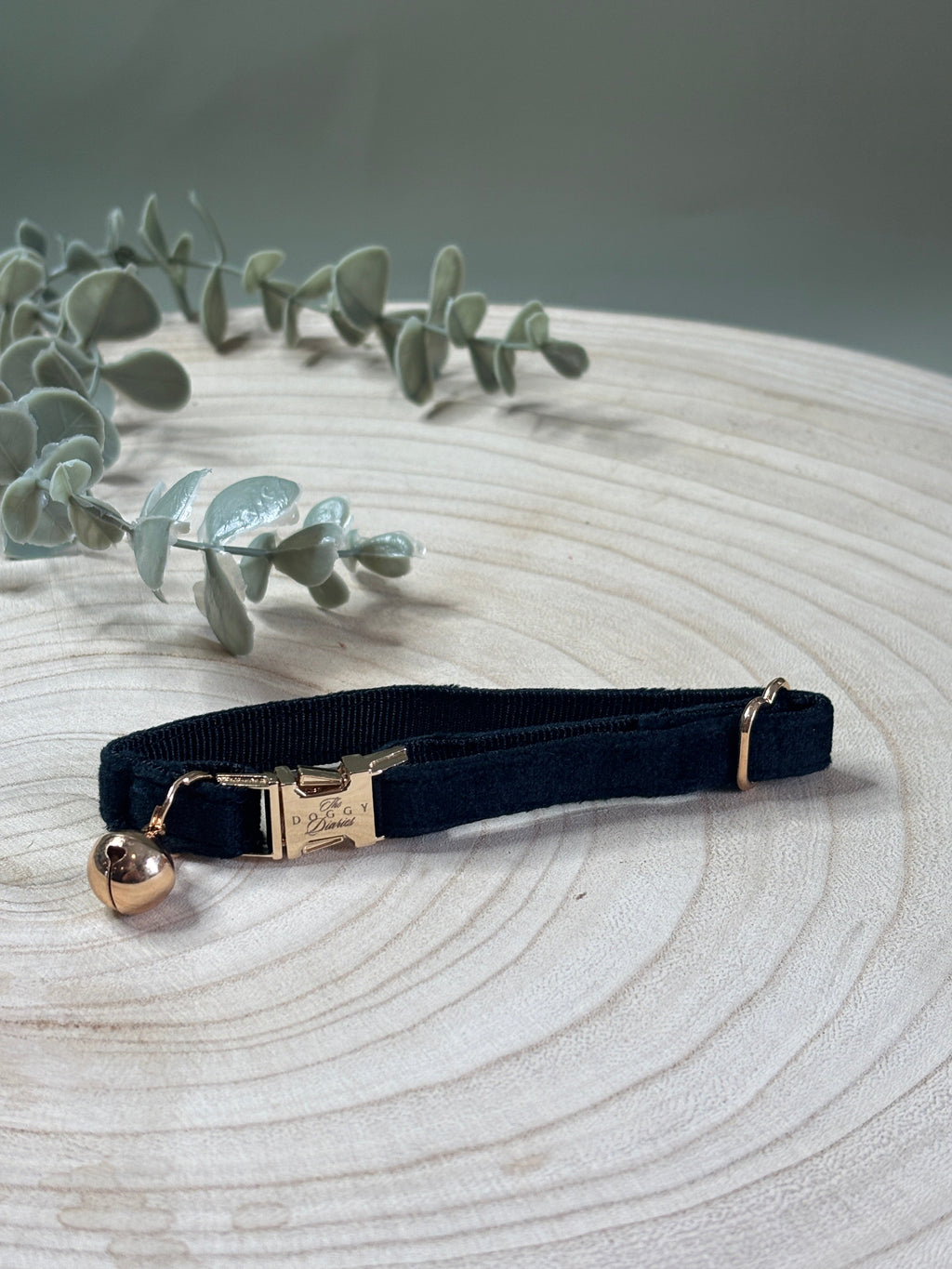 Puppy Velvet Collar