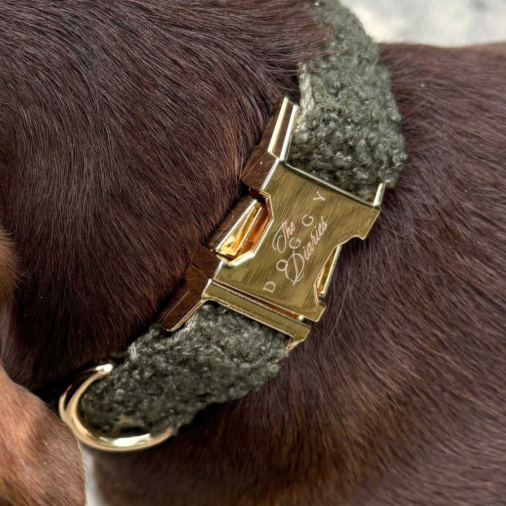 Khaki Teddy Collar