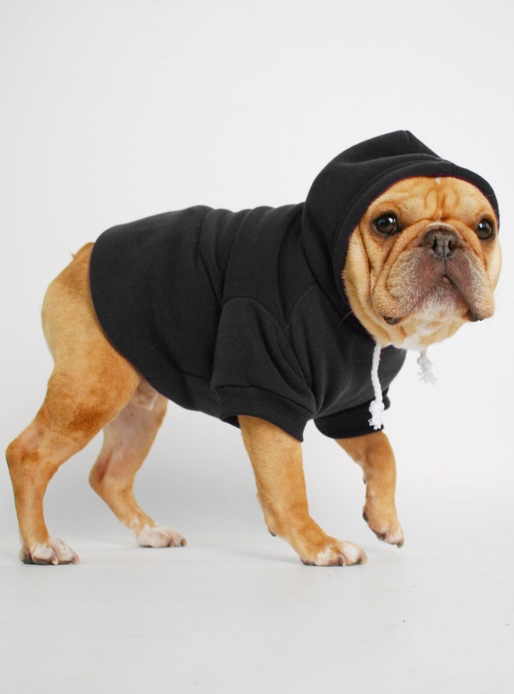 The Jasper Dog Hoodie