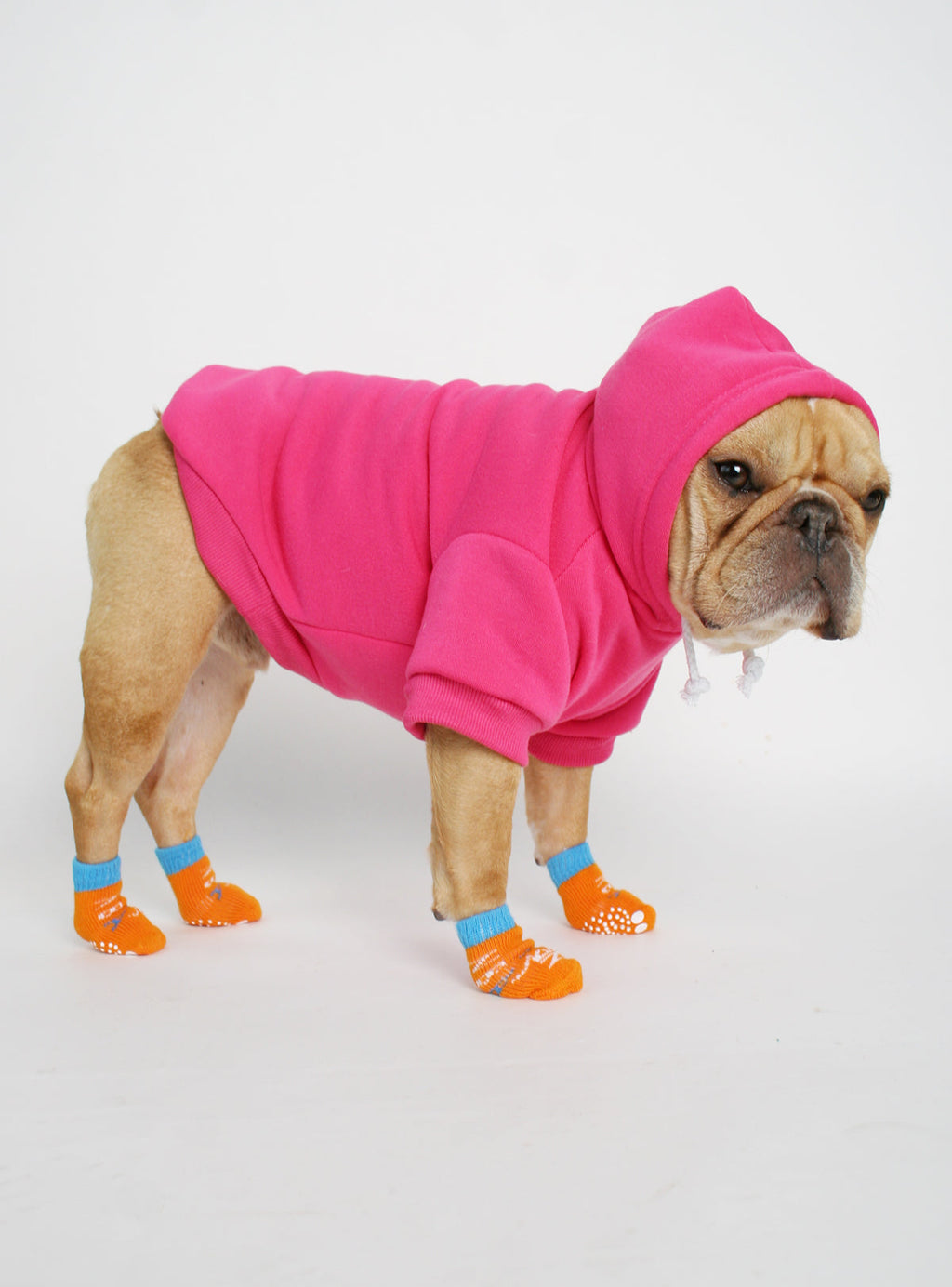The Jasper Dog Hoodie