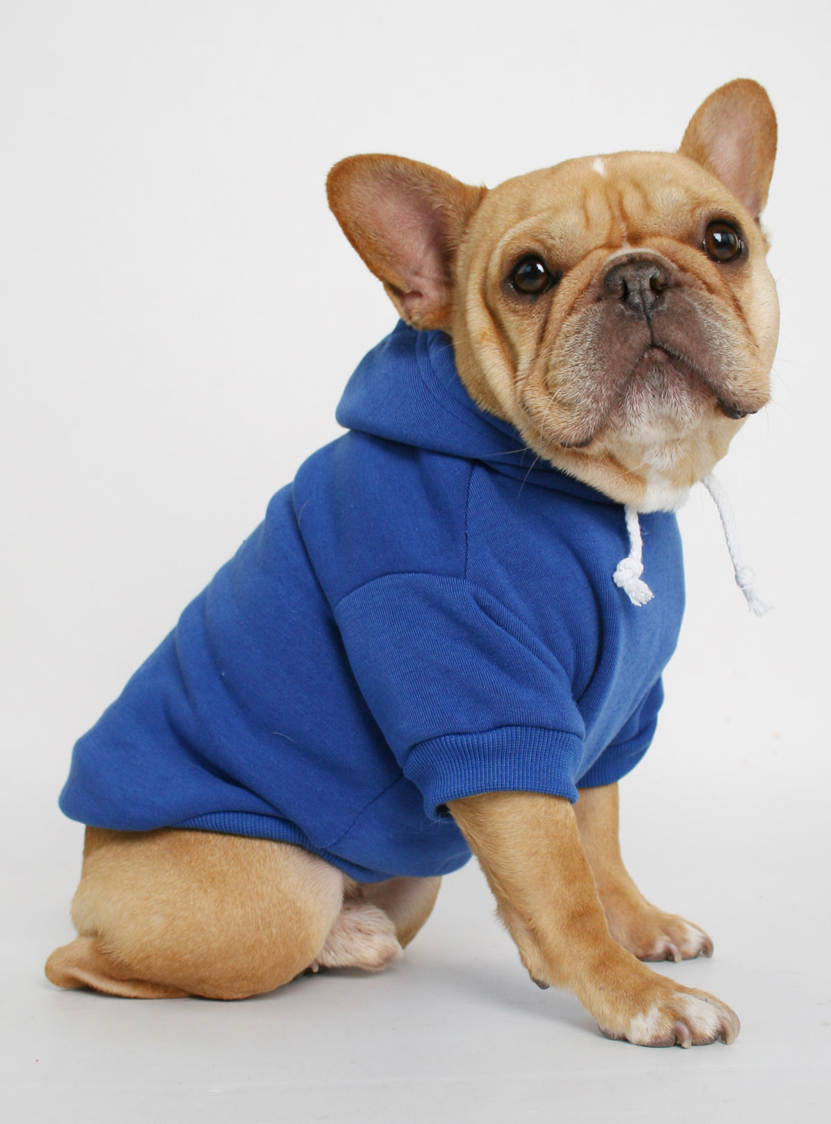 The Jasper Dog Hoodie
