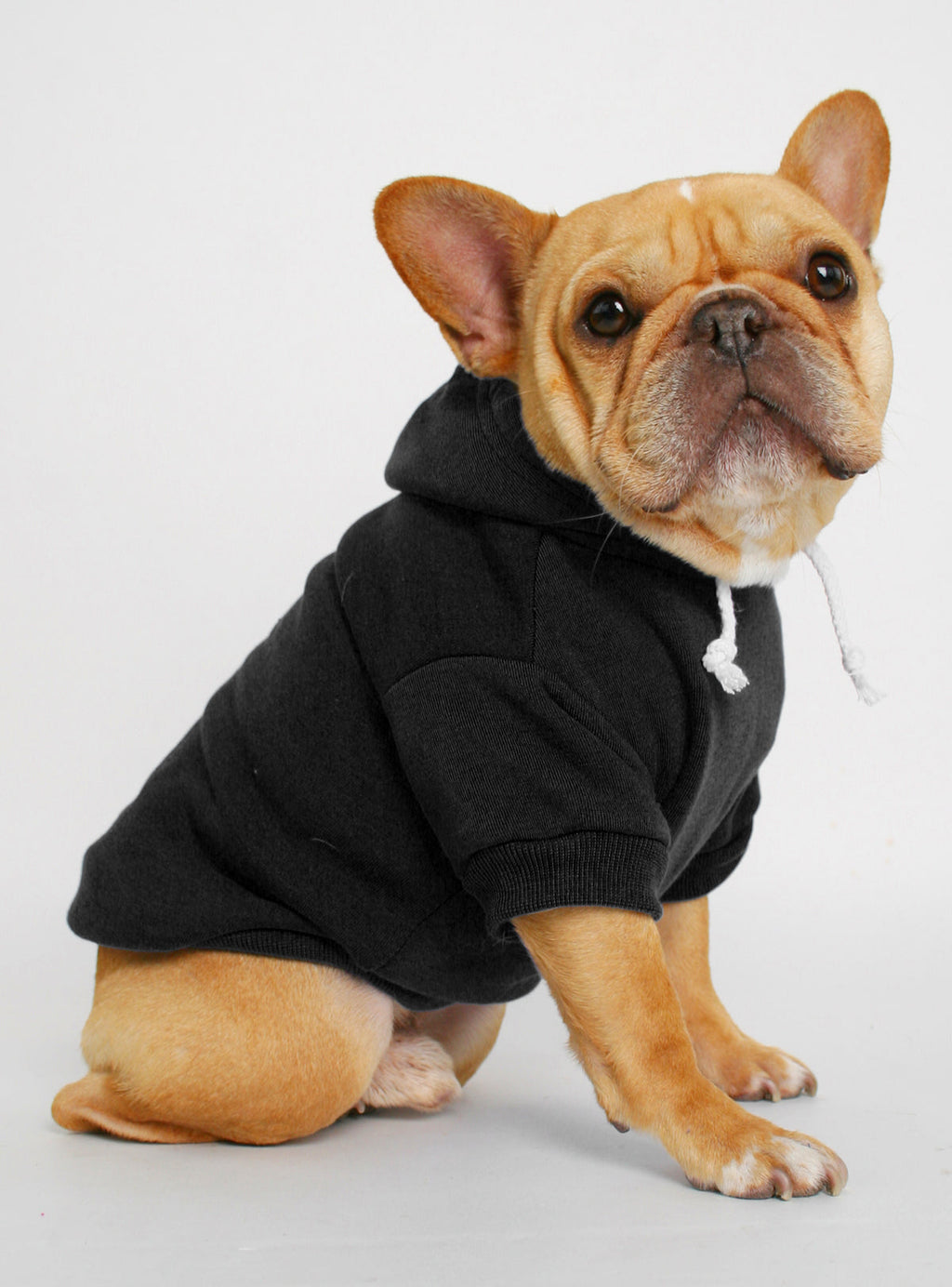 The Jasper Dog Hoodie