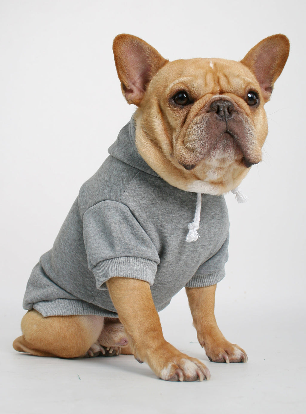 The Jasper Dog Hoodie