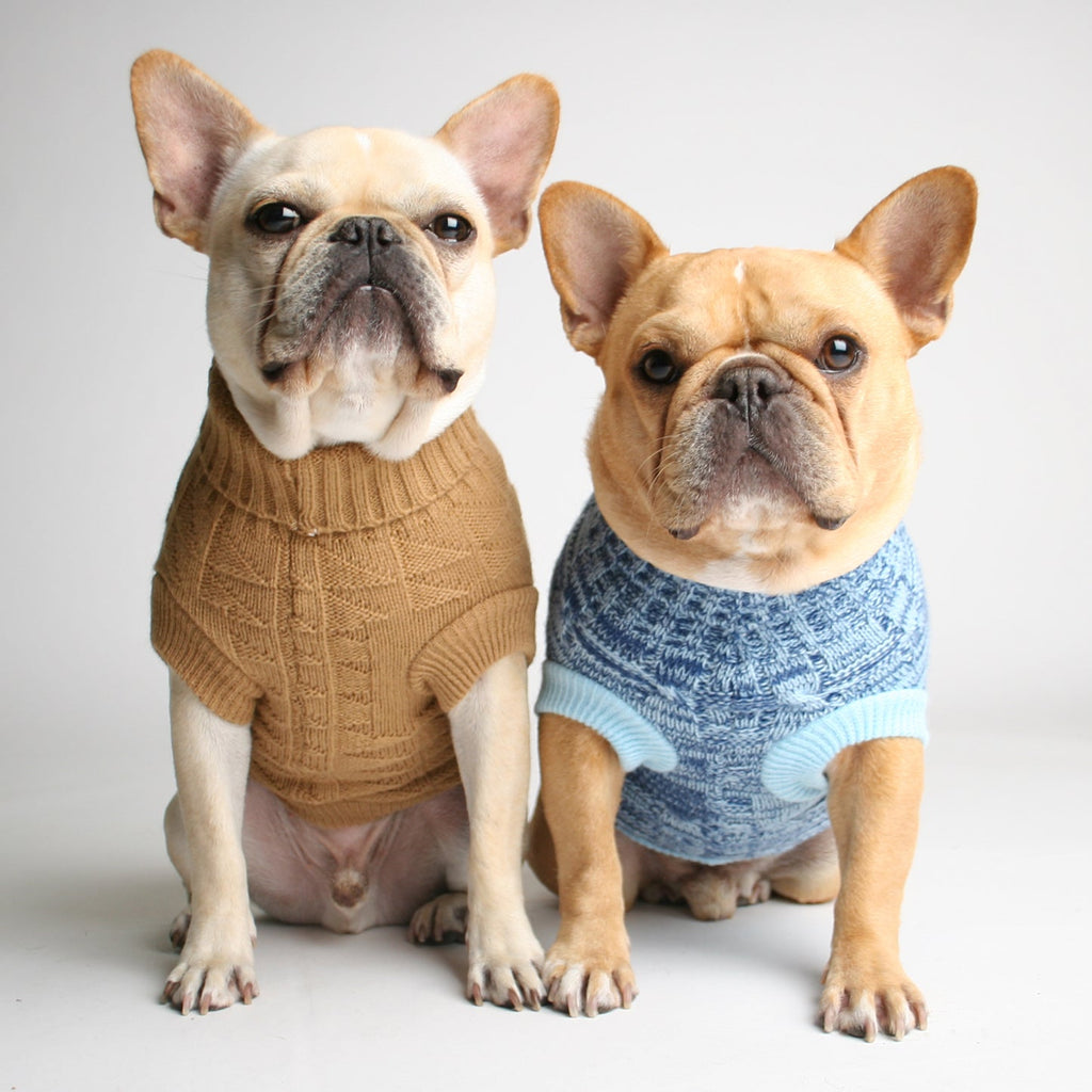Tot Thot Dog Sweater