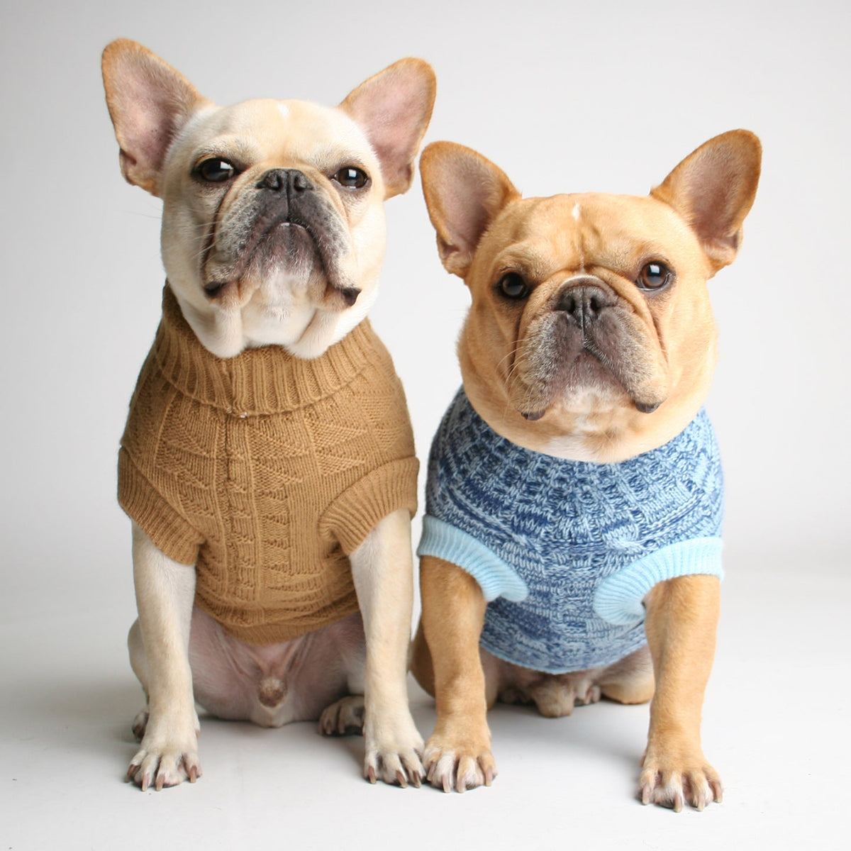 Tot Thot Dog Sweater