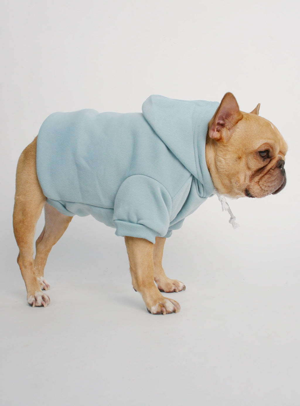 The Jasper Dog Hoodie
