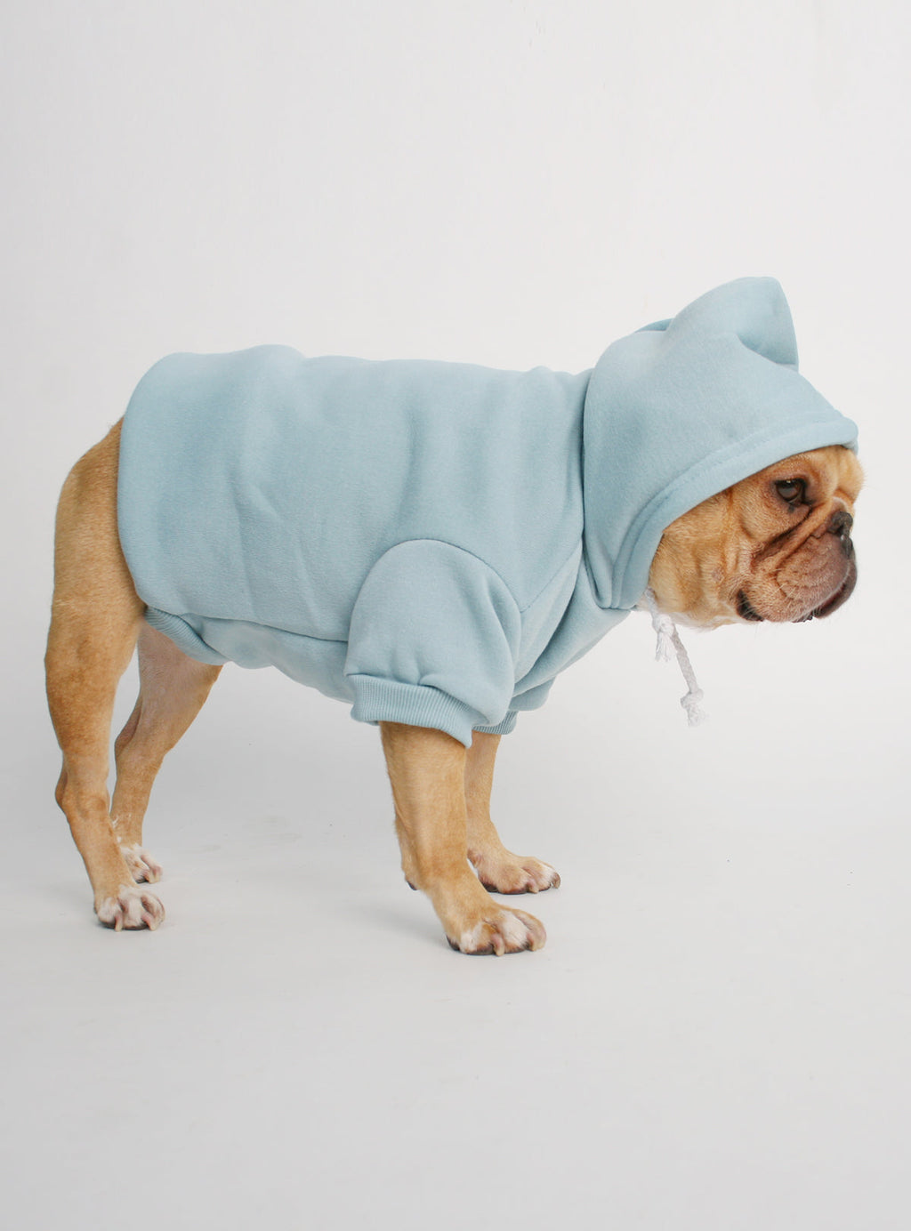 The Jasper Dog Hoodie