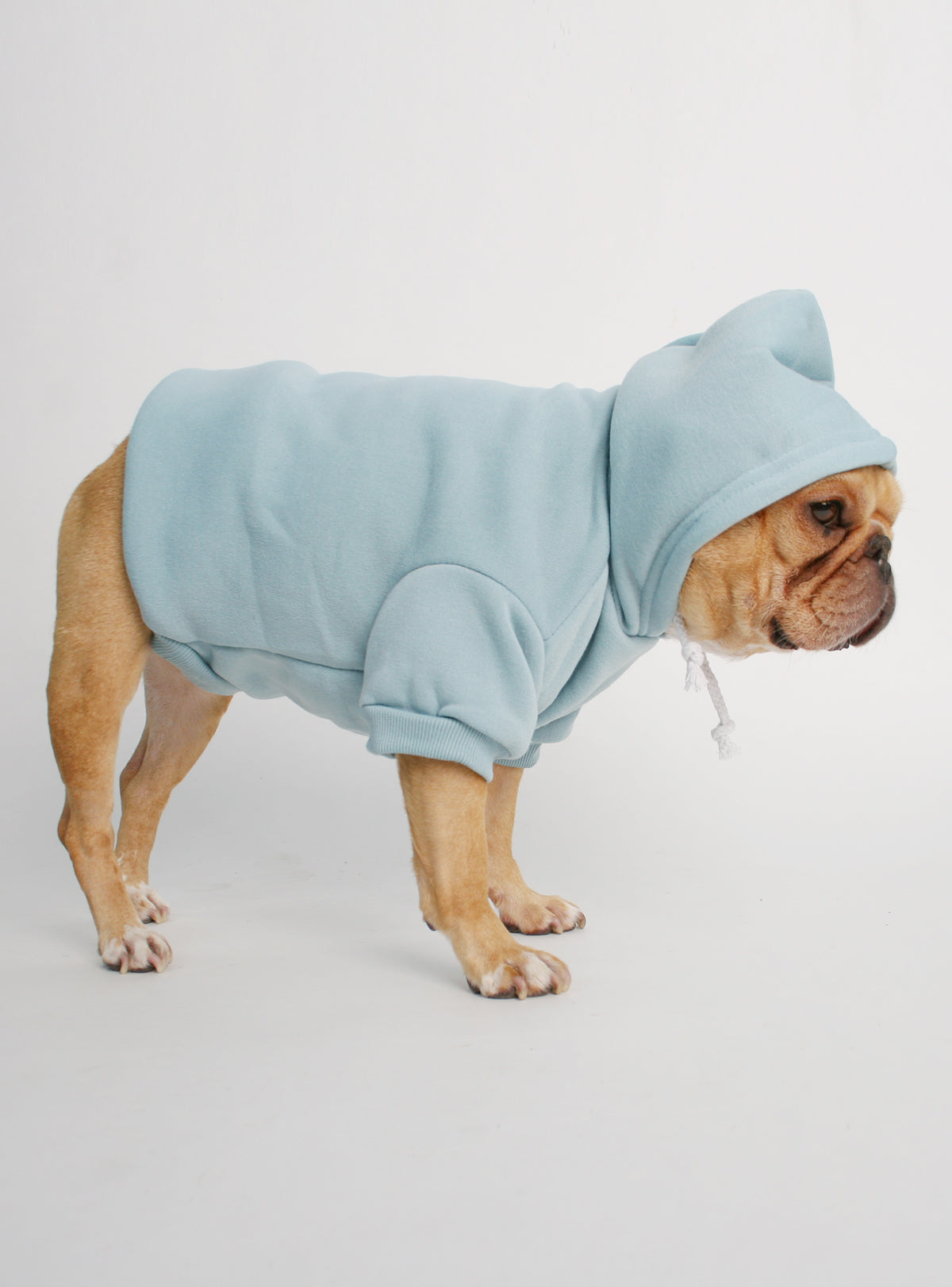 The Jasper Dog Hoodie