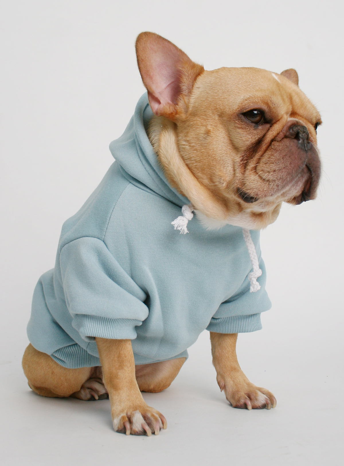 The Jasper Dog Hoodie