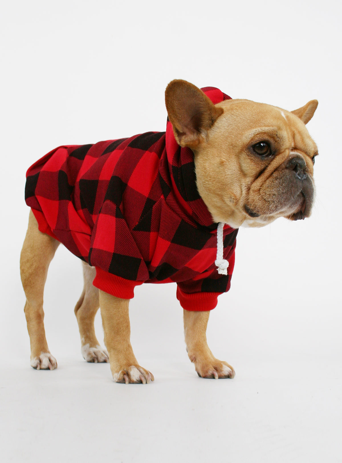 The Lumberjack Dog Hoodie