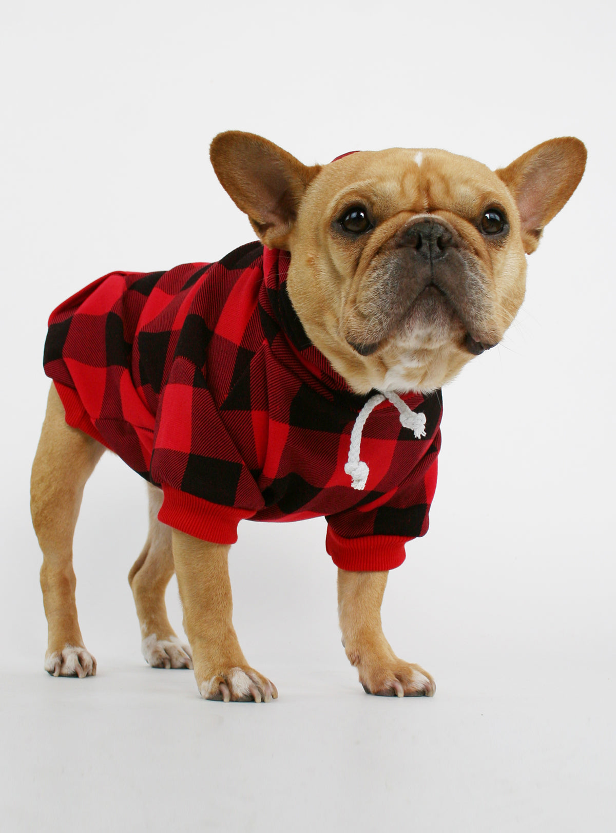 The Lumberjack Dog Hoodie