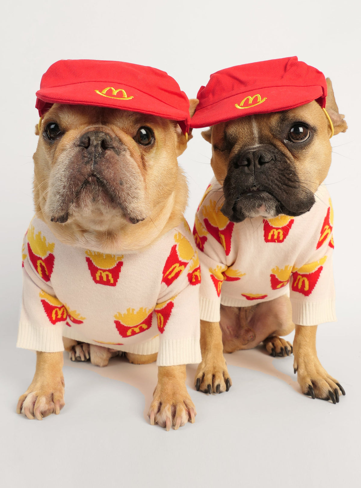 French Fried Dog Sweater