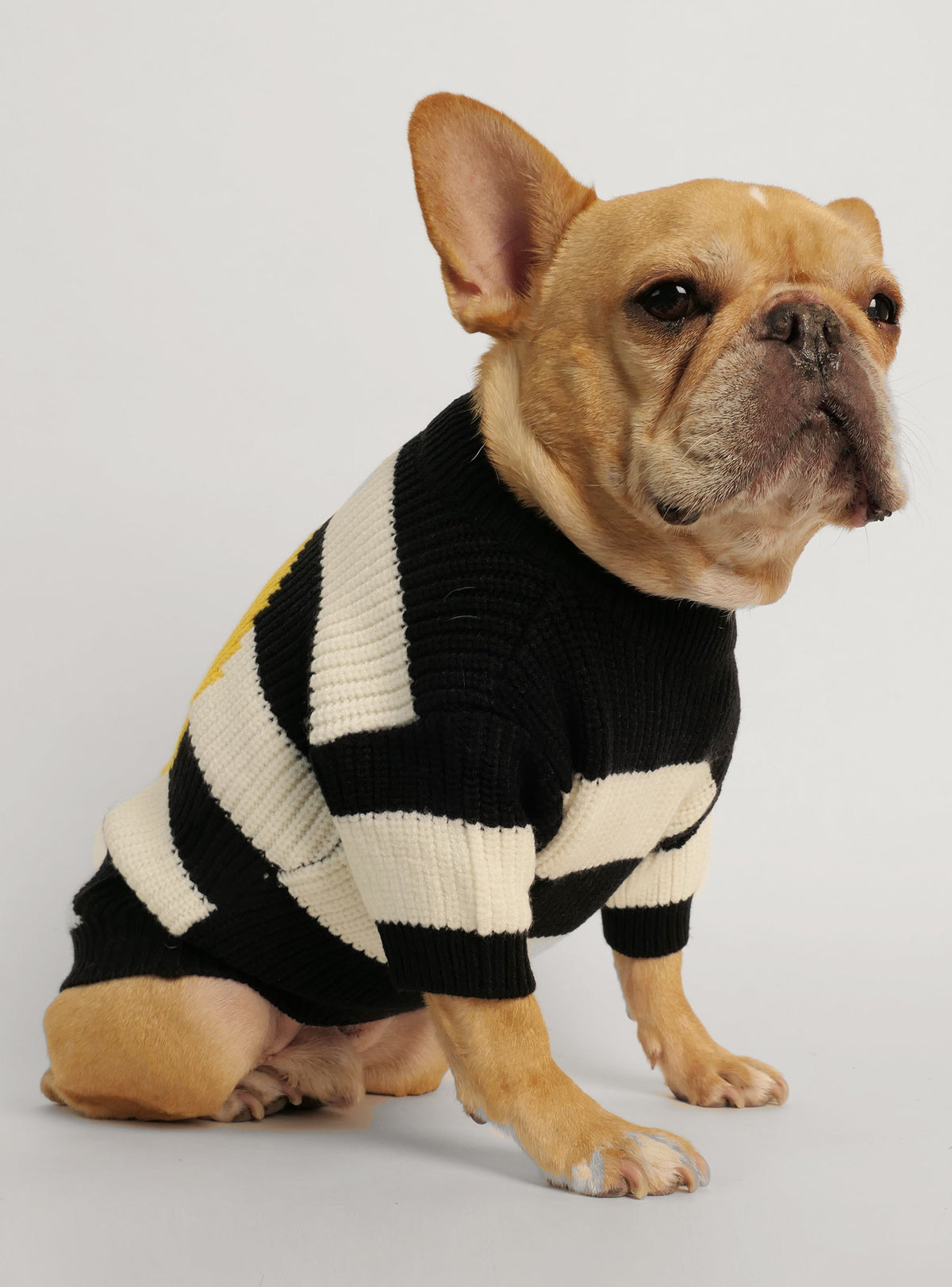 The 90's Kid Dog Sweater