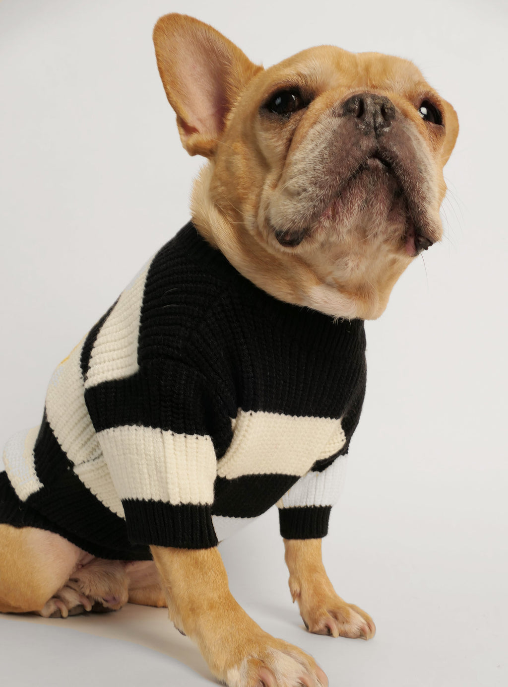 The 90's Kid Dog Sweater