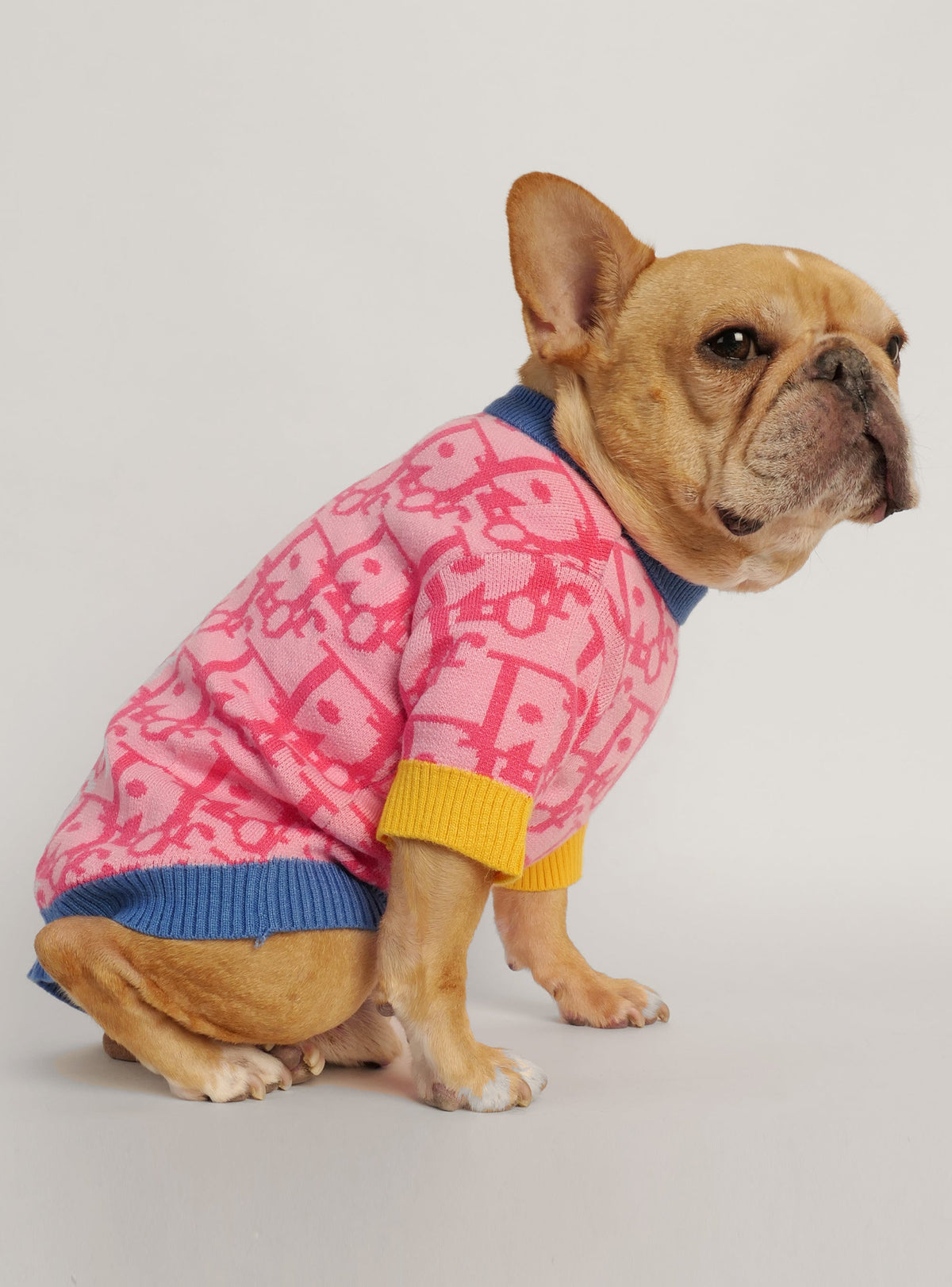 Diordinary Dog Sweater