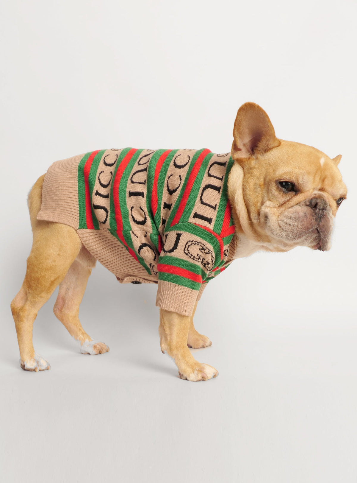 GG Dog Sweater