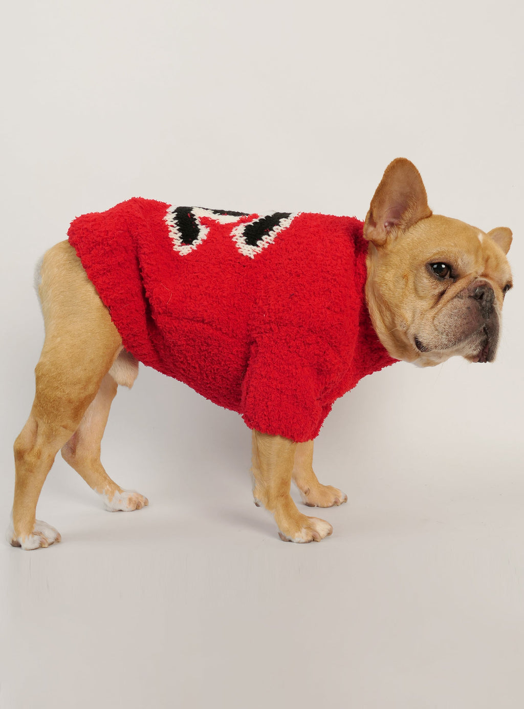 Coco Dog Sweater