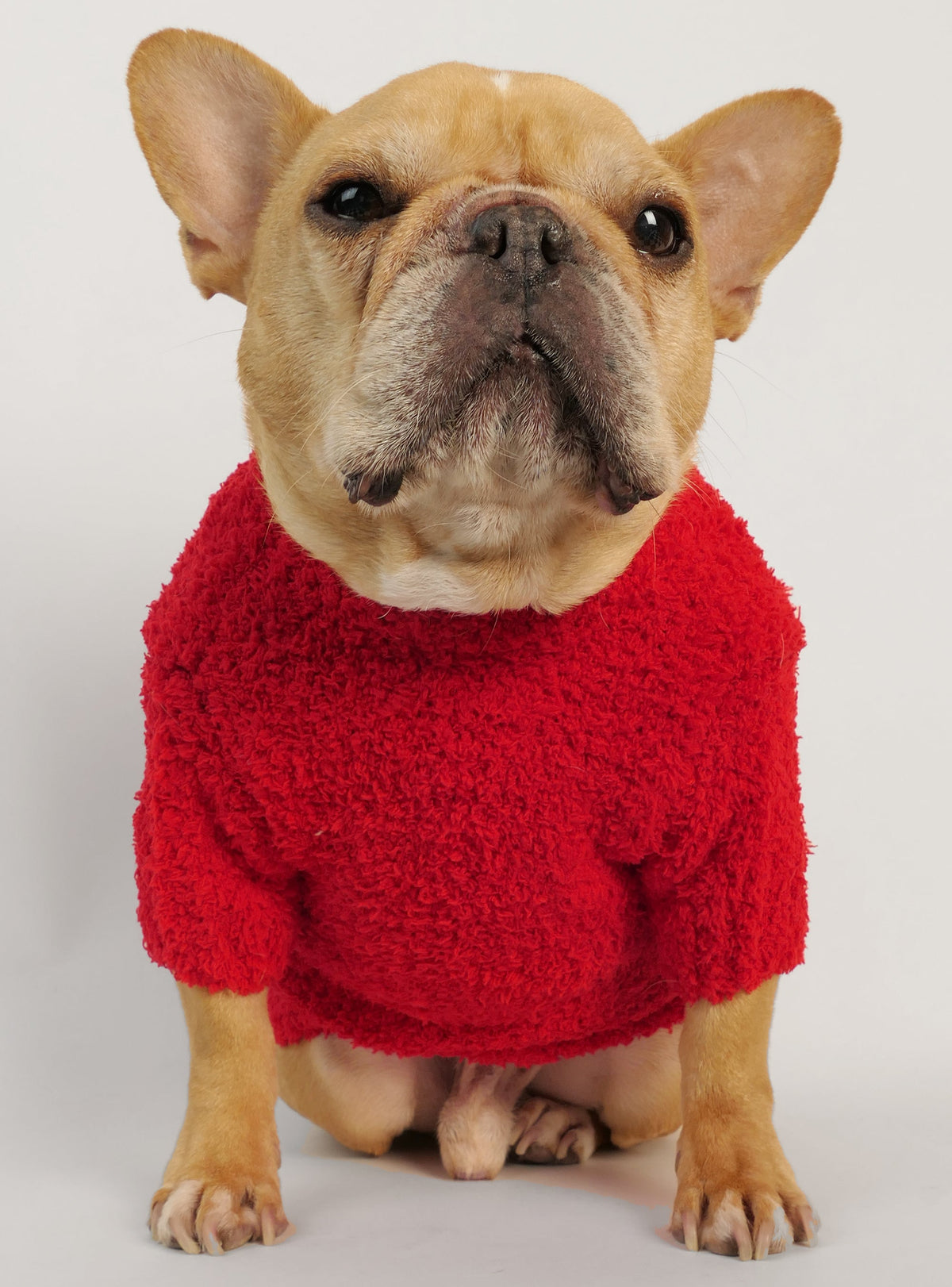 Coco Dog Sweater