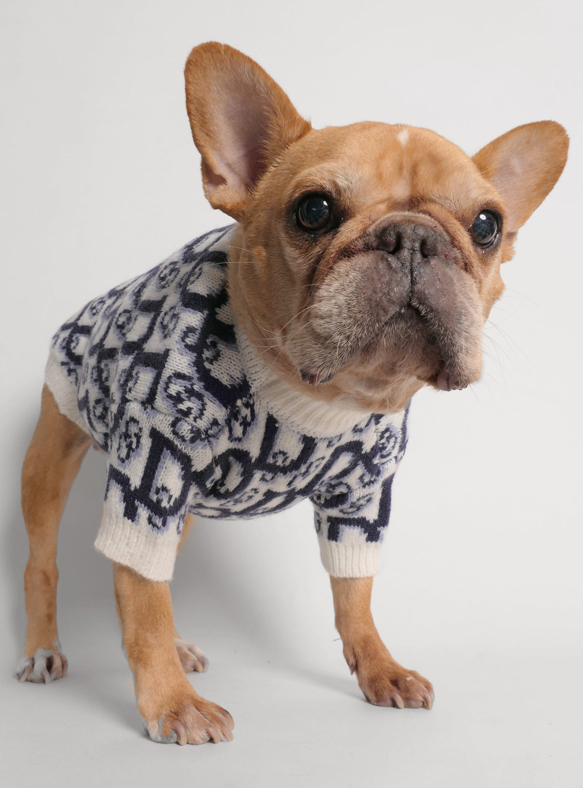 J'adore Dog Sweater