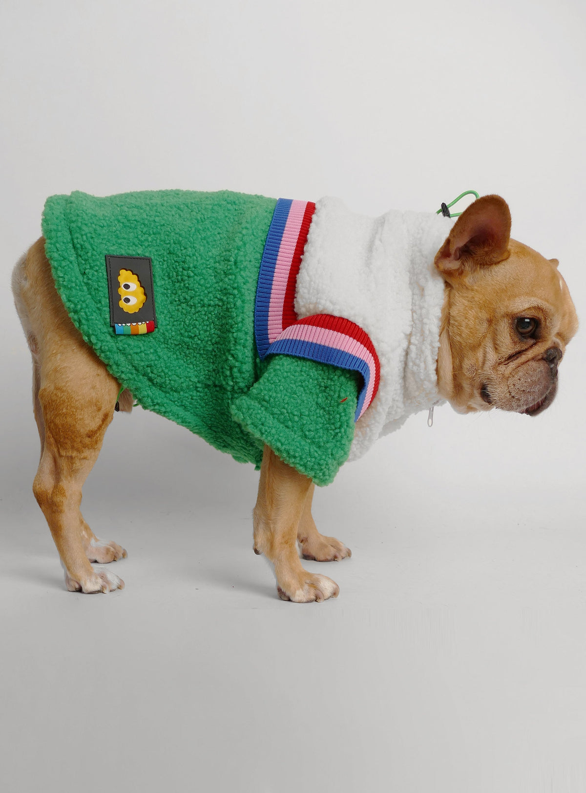 McEnroe Dog Sweater