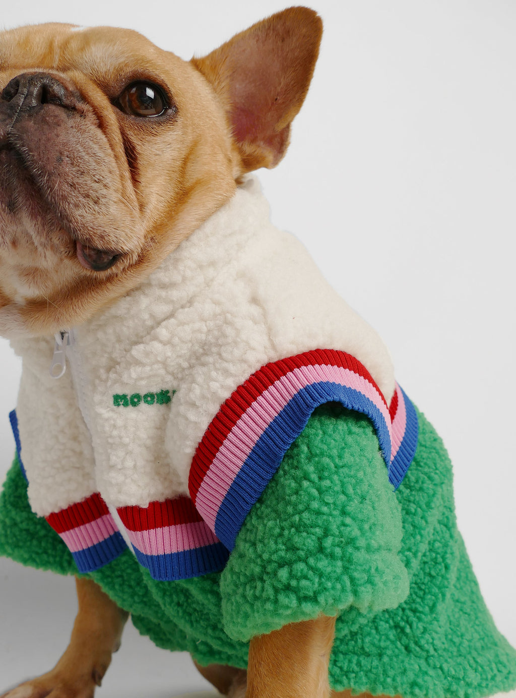 McEnroe Dog Sweater